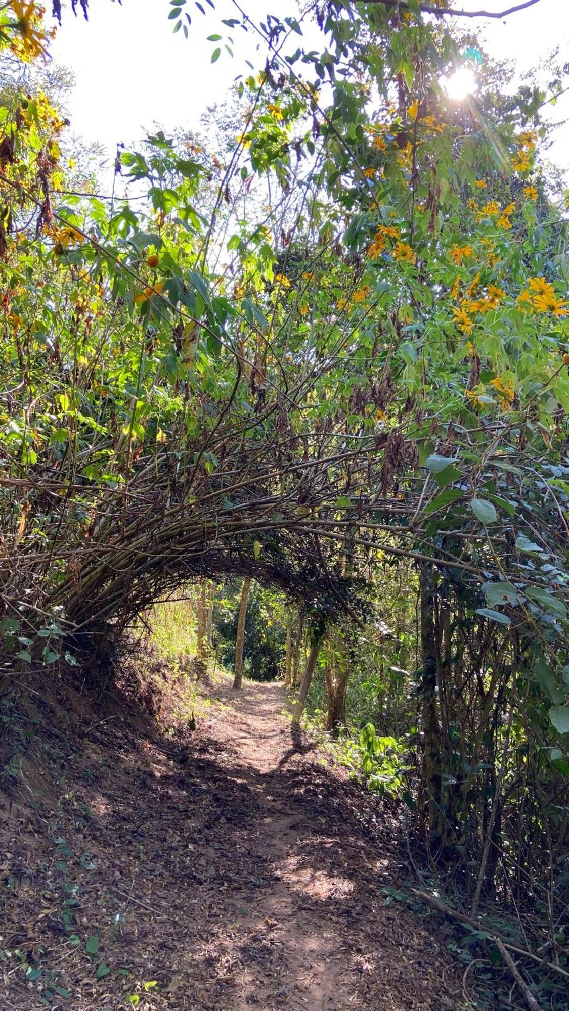 Vila Chale Laranja - Sitio Caldeirao Posse  Exteriér fotografie