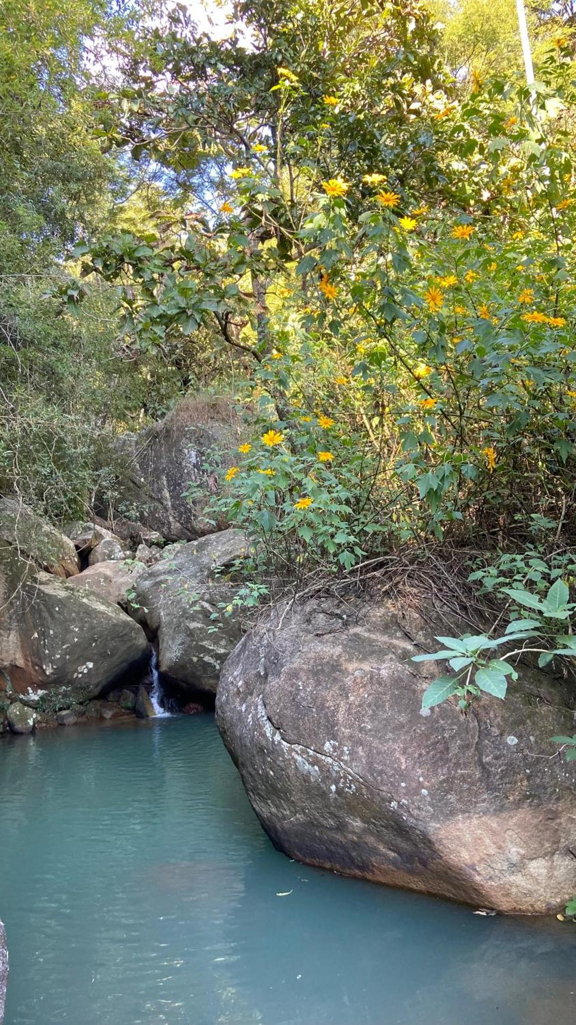 Vila Chale Laranja - Sitio Caldeirao Posse  Exteriér fotografie